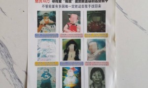 “梅姨”落网细节披露：其长相与模拟画像相似度不足30%；同居三年男友曾称她从不拍照