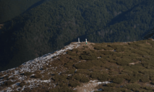 为逃兵役越境的乌克兰人：“宁可死于山野”