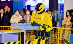 机器人能插花、能救援，但能安全走进你家吗？