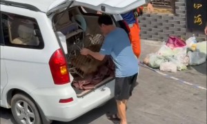 四川德阳“超快猴”被捕获：半个月逛遍城区成当地“明星” 将观察评估后决定其去向